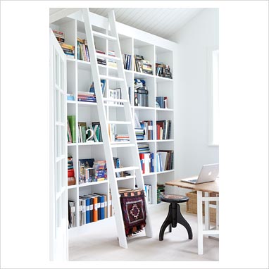 Bookshelves Ladder