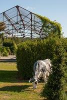 Cow sculpture in country garden 